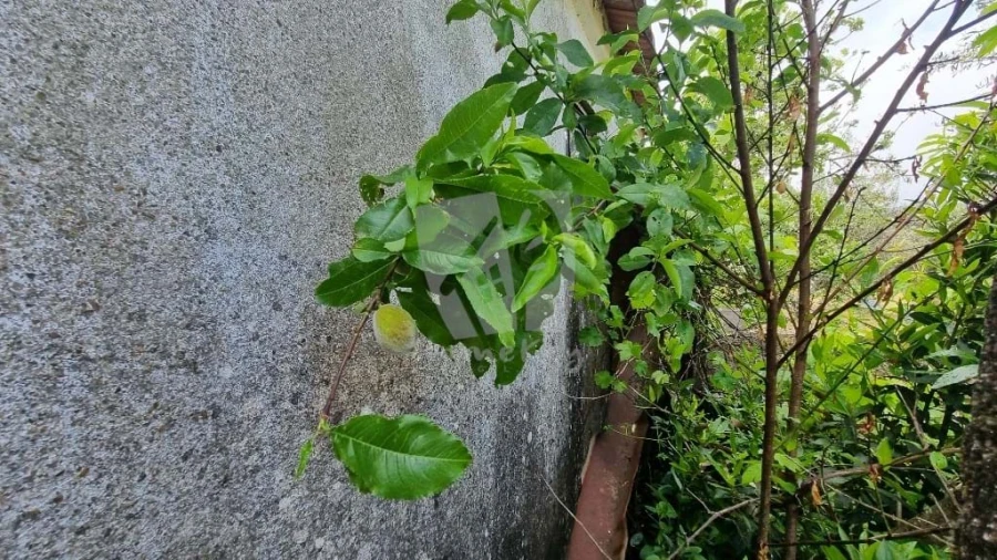 Moradia T4 para Venda em Santo Andre das Tojeiras Foto 15