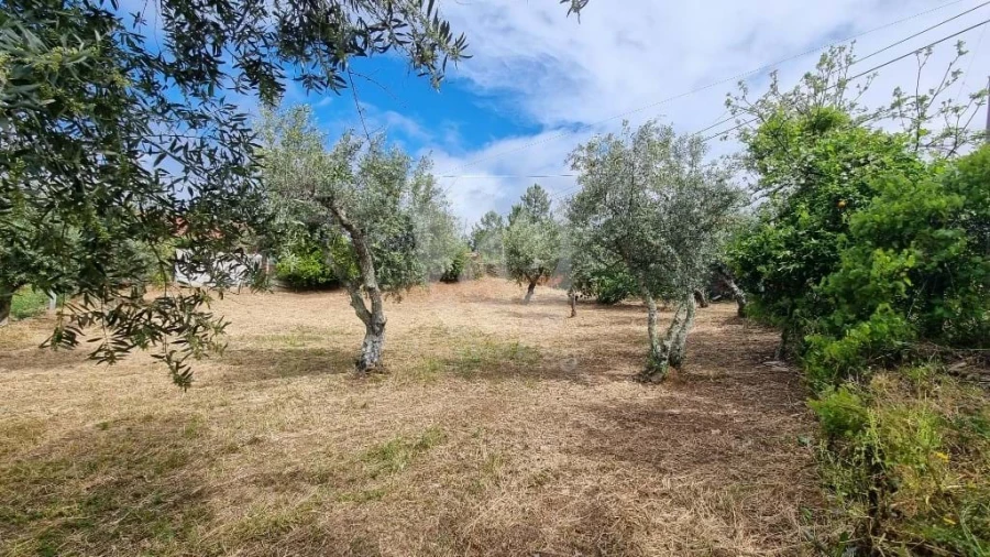 Moradia T4 para Venda em Santo Andre das Tojeiras Foto 7