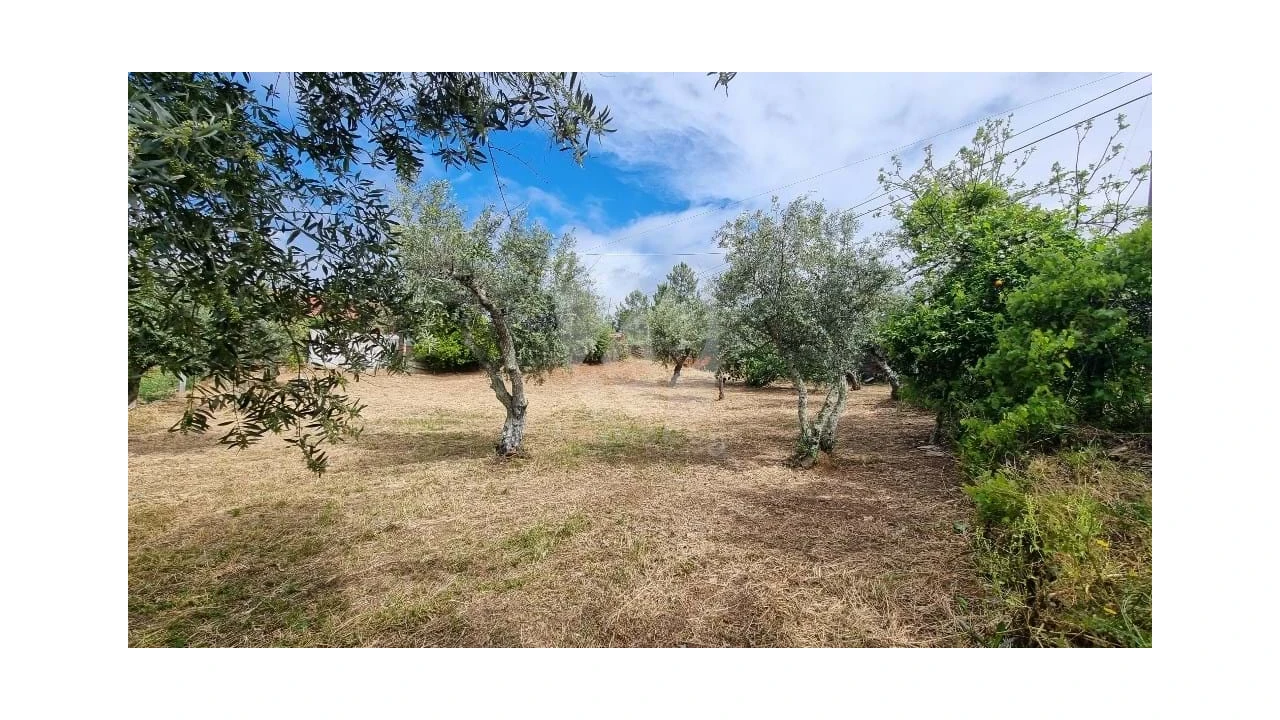 Moradia T4 para Venda em Santo Andre das Tojeiras Foto 7