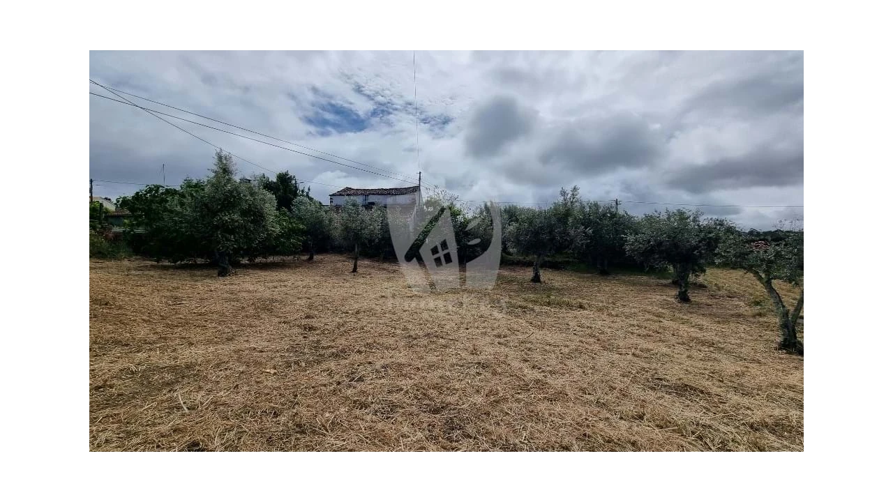 Moradia T4 para Venda em Santo Andre das Tojeiras Foto 12