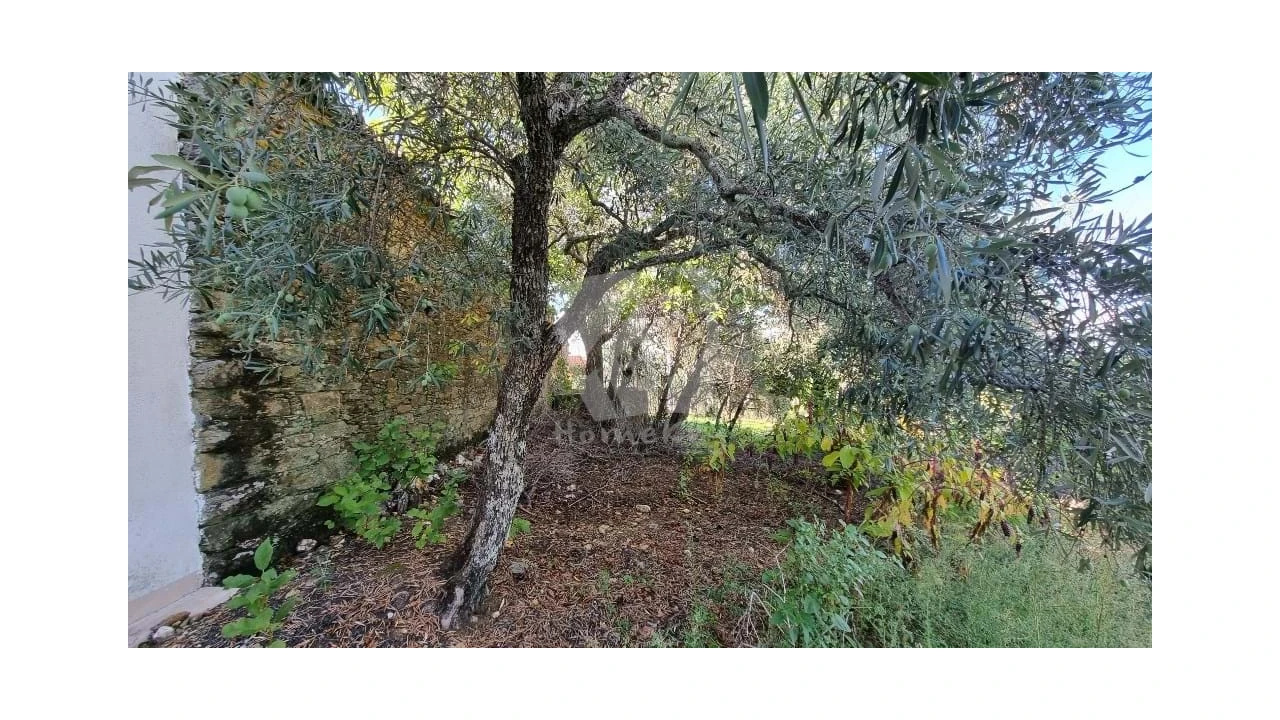 Moradia para Venda em Sarzedas Foto 24