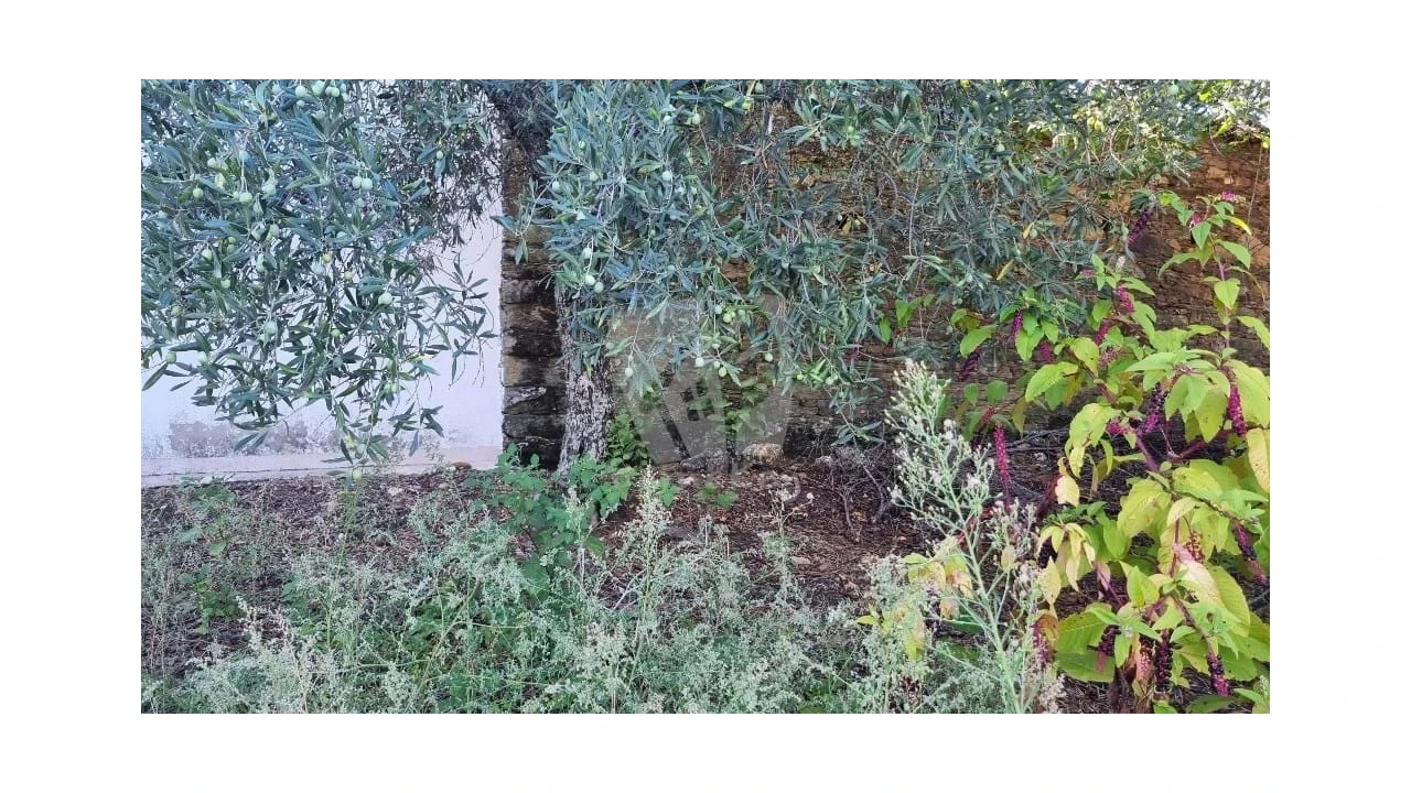 Moradia para Venda em Sarzedas Foto 28