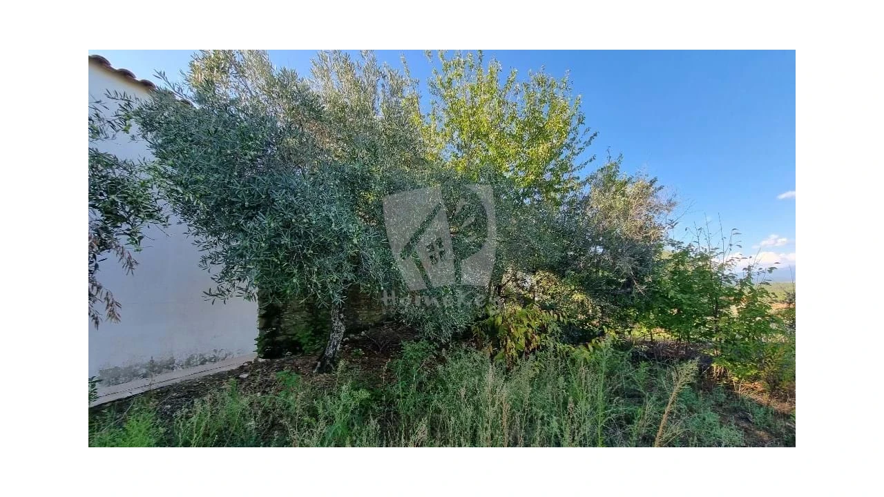 Moradia para Venda em Sarzedas Foto 30