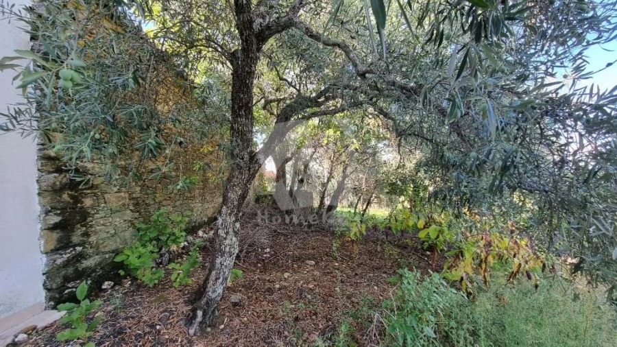 Moradia para Venda em Sarzedas Foto 24