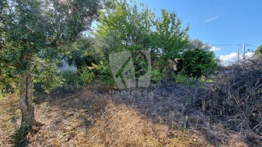 Moradia para Venda em Sarzedas Foto 25