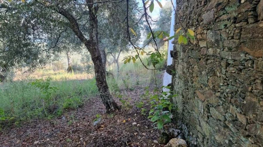 Moradia para Venda em Sarzedas Foto 26