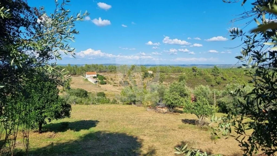 Moradia para Venda em Sarzedas Foto 31