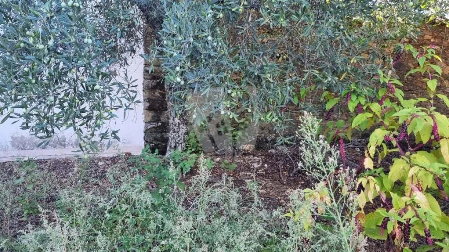 Moradia para Venda em Sarzedas Foto 28