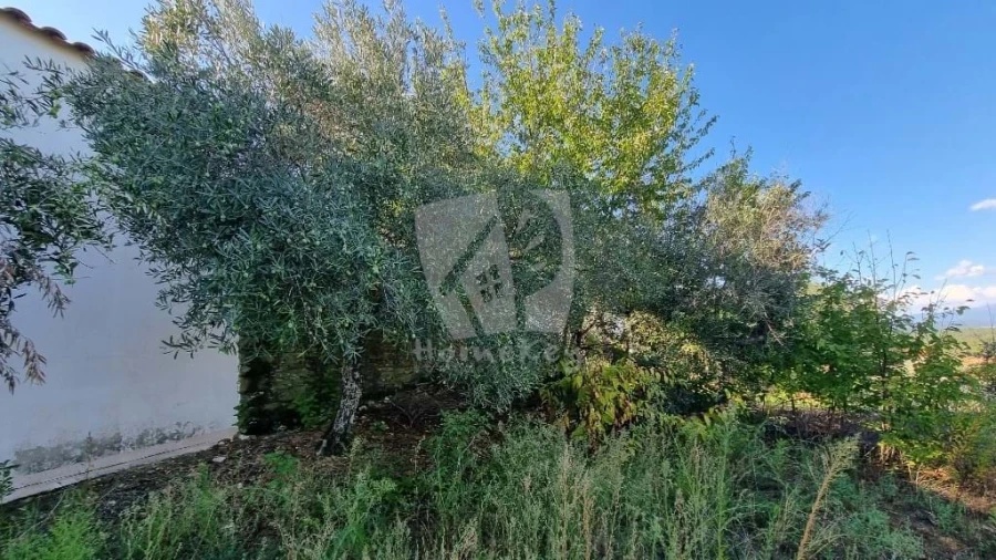 Moradia para Venda em Sarzedas Foto 30