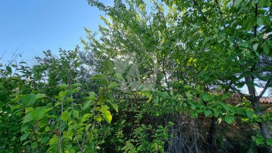 Moradia para Venda em Sarzedas Foto 29