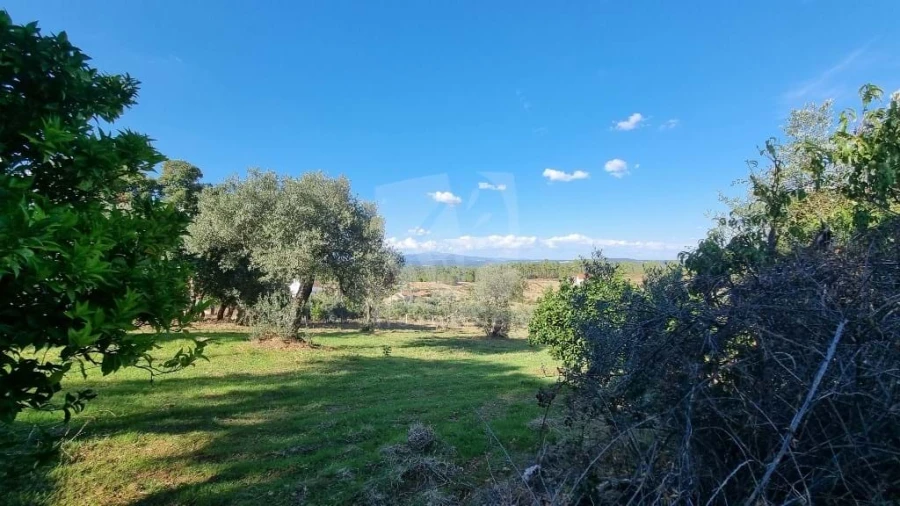 Moradia para Venda em Sarzedas Foto 32