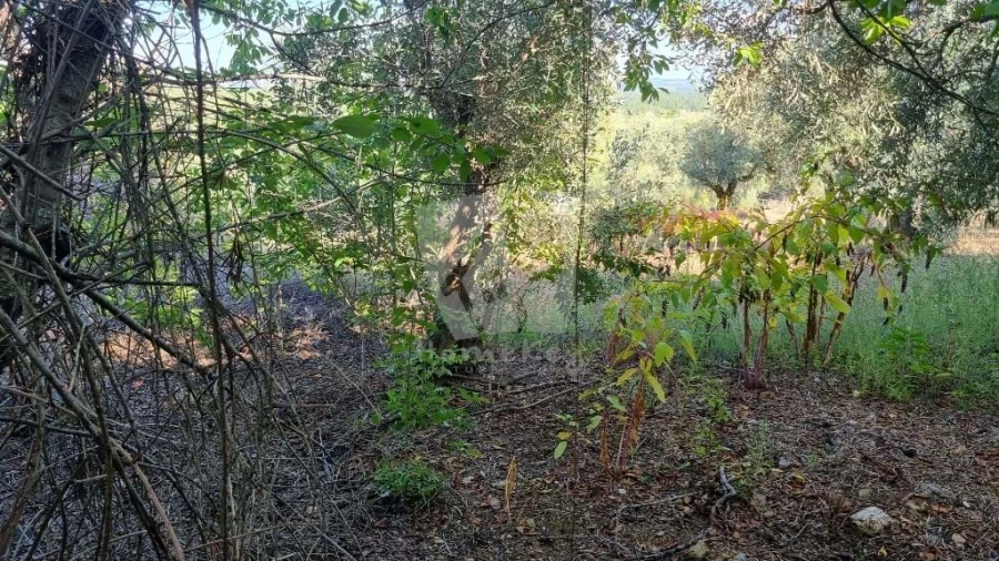 Moradia para Venda em Sarzedas Foto 27