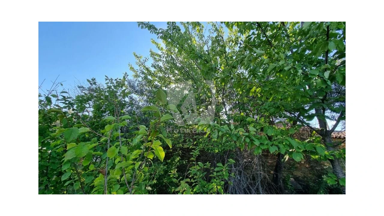 Moradia para Venda em Sarzedas Foto 29