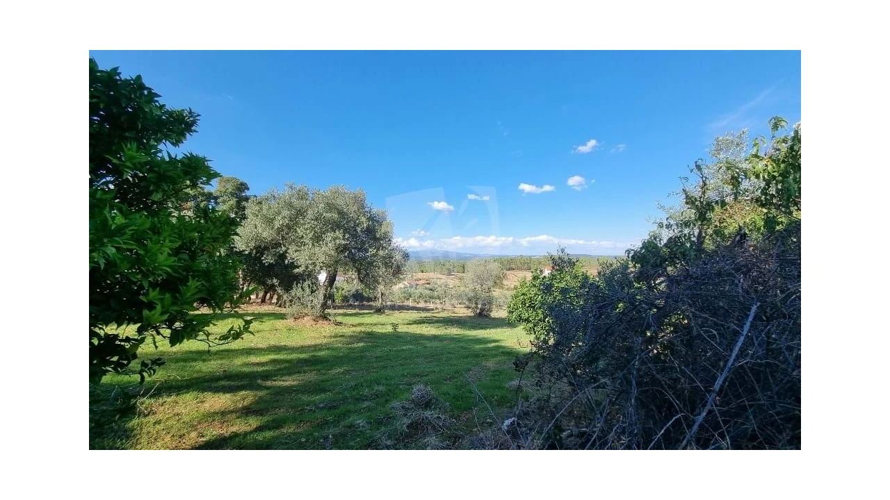 Moradia para Venda em Sarzedas Foto 32