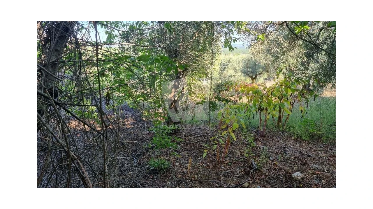 Moradia para Venda em Sarzedas Foto 27