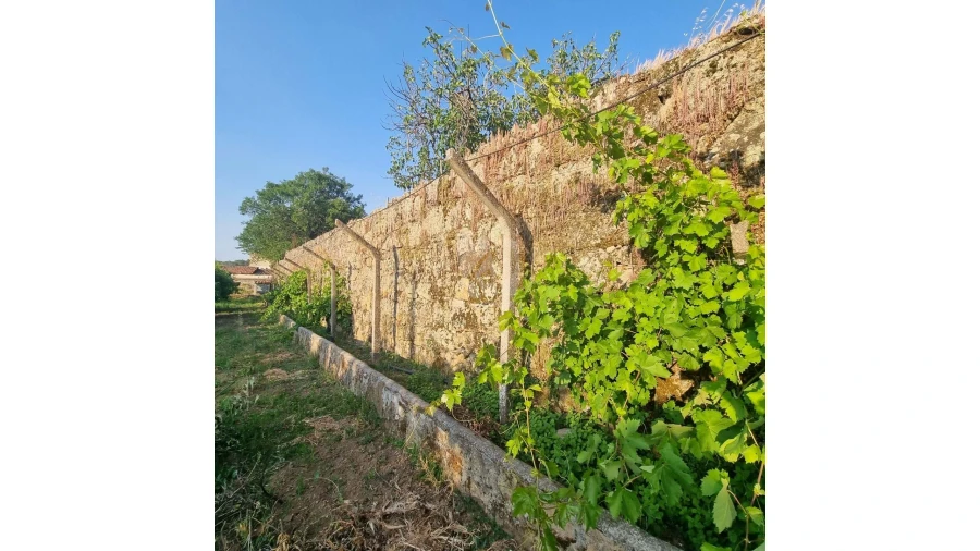 Moradia para Venda em Salgueiro do Campo Foto 25