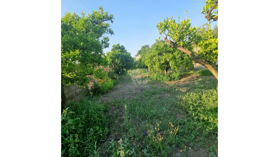 Moradia para Venda em Salgueiro do Campo Foto 28