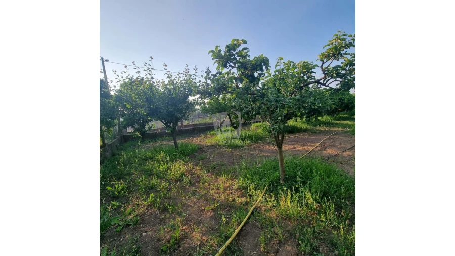 Moradia para Venda em Salgueiro do Campo Foto 24