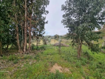 Terreno para Venda em Salgueiro do Campo
