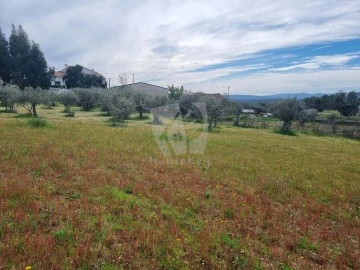 Terreno para Venda em Salgueiro do Campo