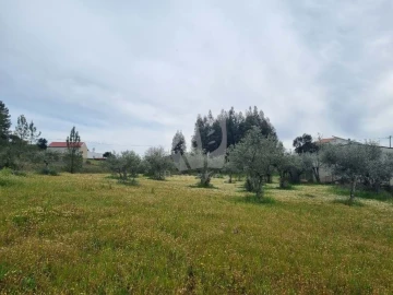 Terreno para Venda em Salgueiro do Campo
