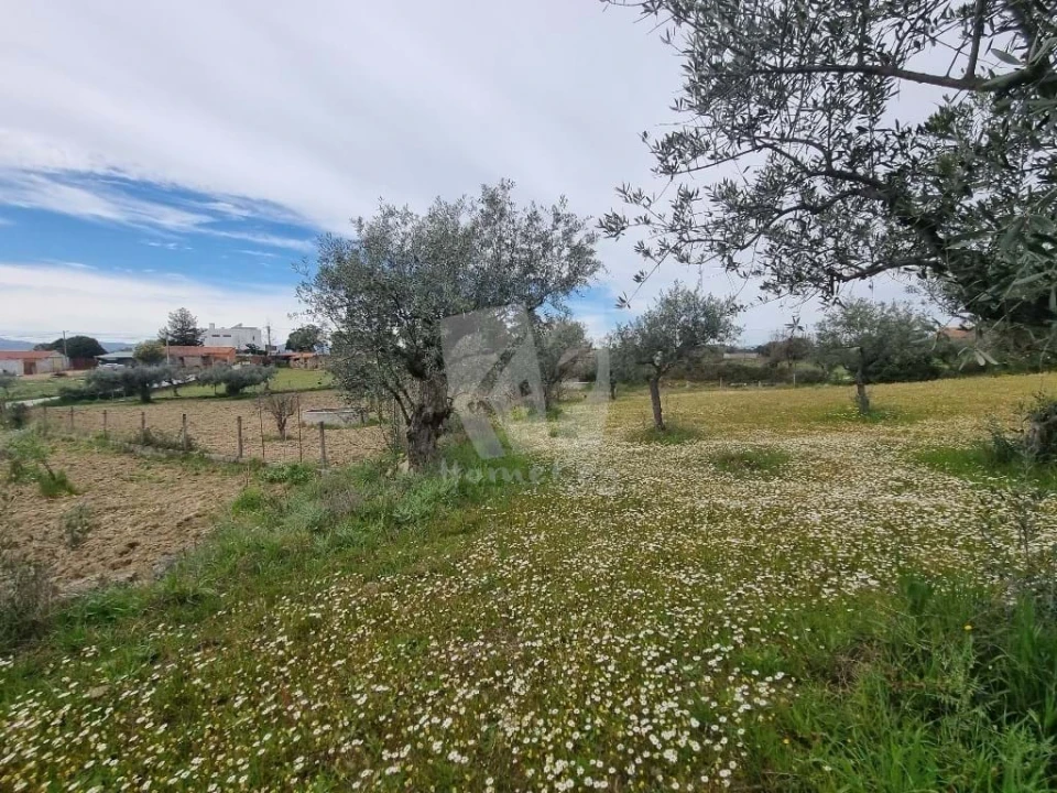 Terreno para Venda em Salgueiro do Campo Foto 1