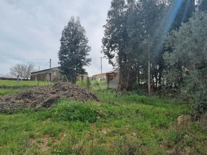 Terreno para Venda em Salgueiro do Campo Foto 14