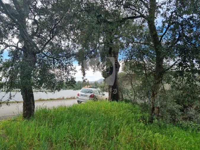 Terreno para Venda em Salgueiro do Campo Foto 4