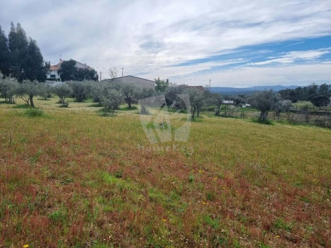 Terreno para Venda em Salgueiro do Campo Foto 12