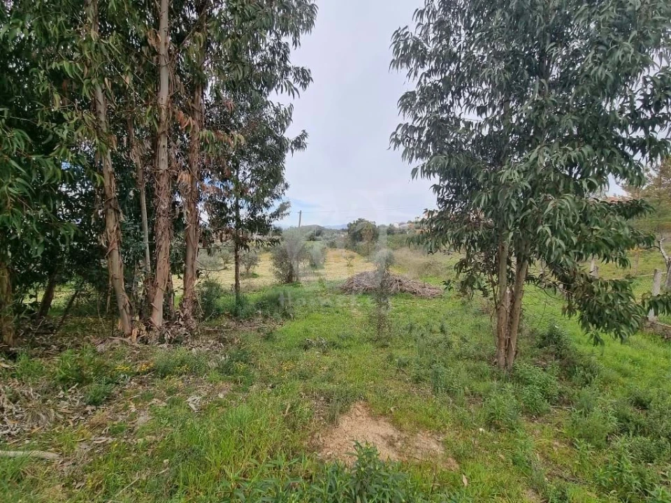 Terreno para Venda em Salgueiro do Campo Foto 7