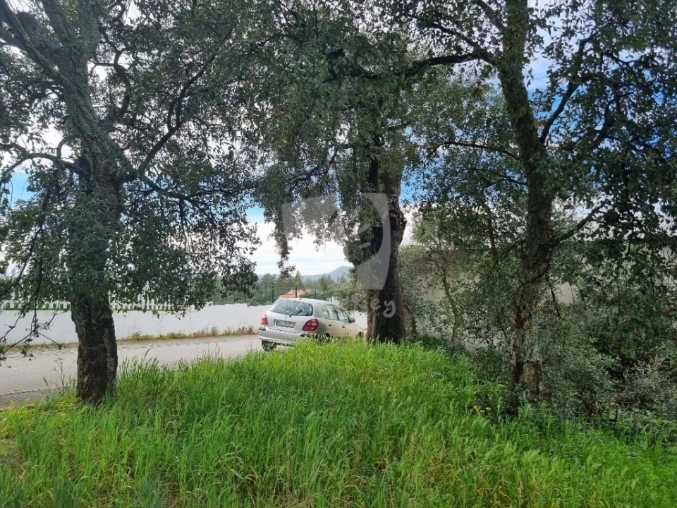 Terreno para Venda em Salgueiro do Campo Foto 4