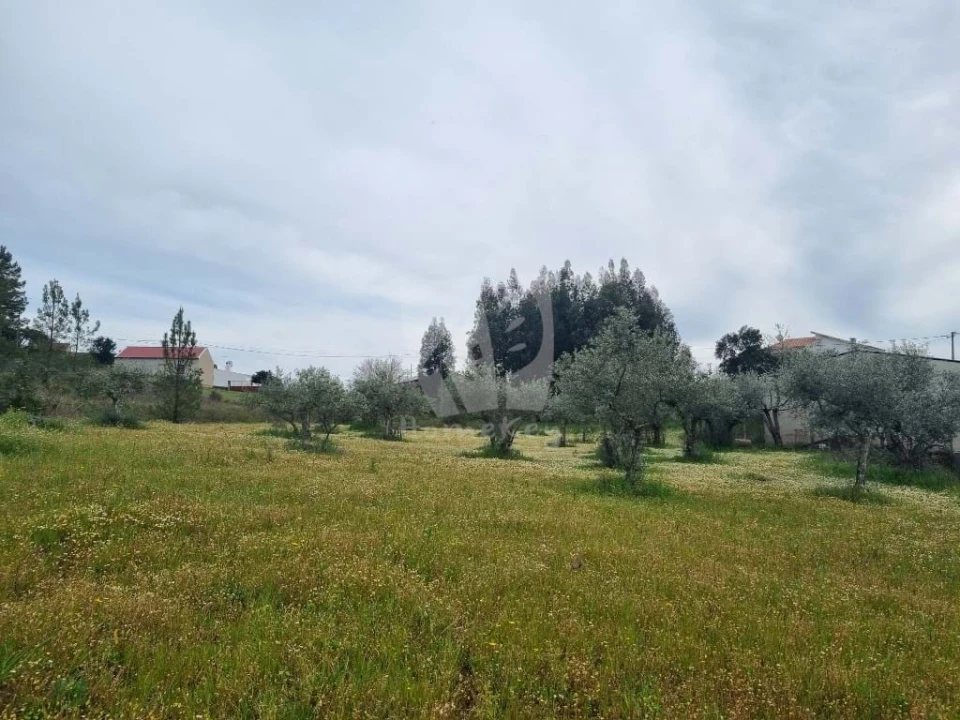 Terreno para Venda em Salgueiro do Campo Foto 11