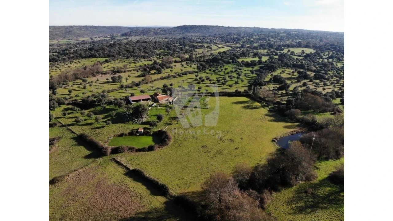 Quinta para Venda em Oledo Foto 39