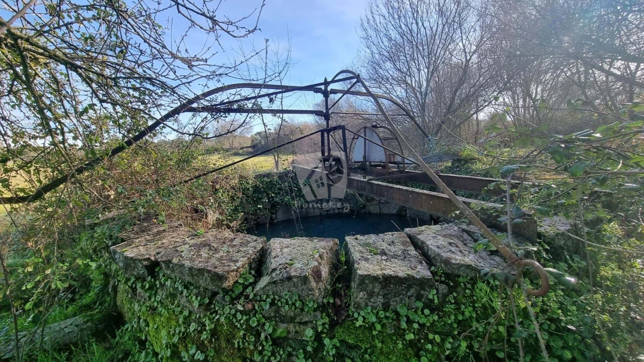 Quinta para Venda em Oledo Foto 32