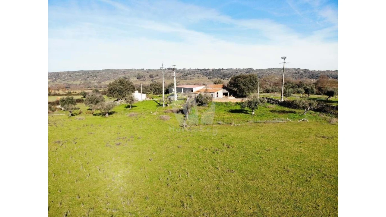 Quinta para Venda em Oledo Foto 1