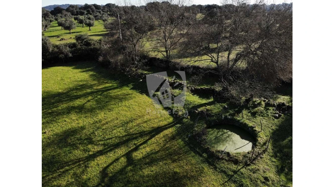 Quinta para Venda em Oledo Foto 42