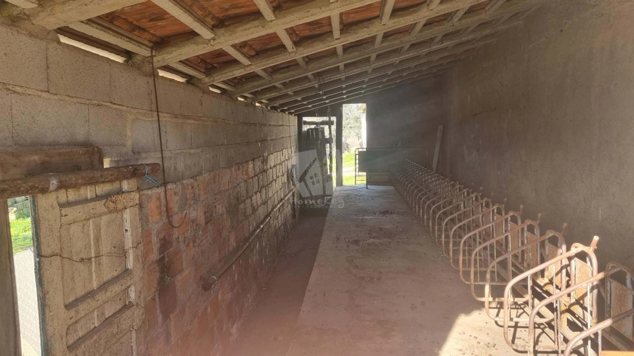 Quinta para Venda em Oledo Foto 18