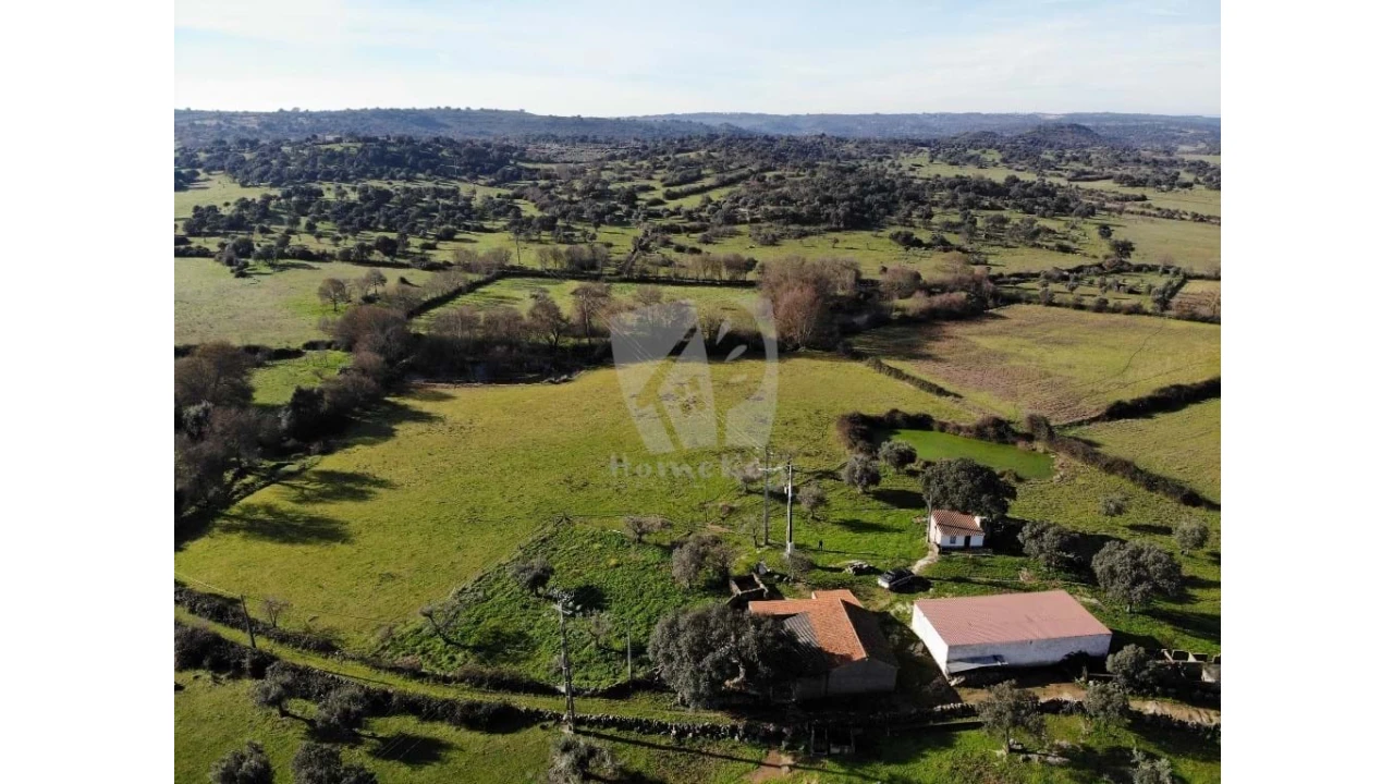 Quinta para Venda em Oledo Foto 2