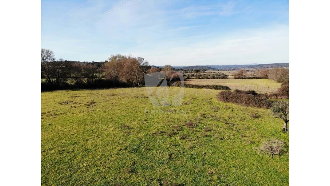 Quinta para Venda em Oledo Foto 44