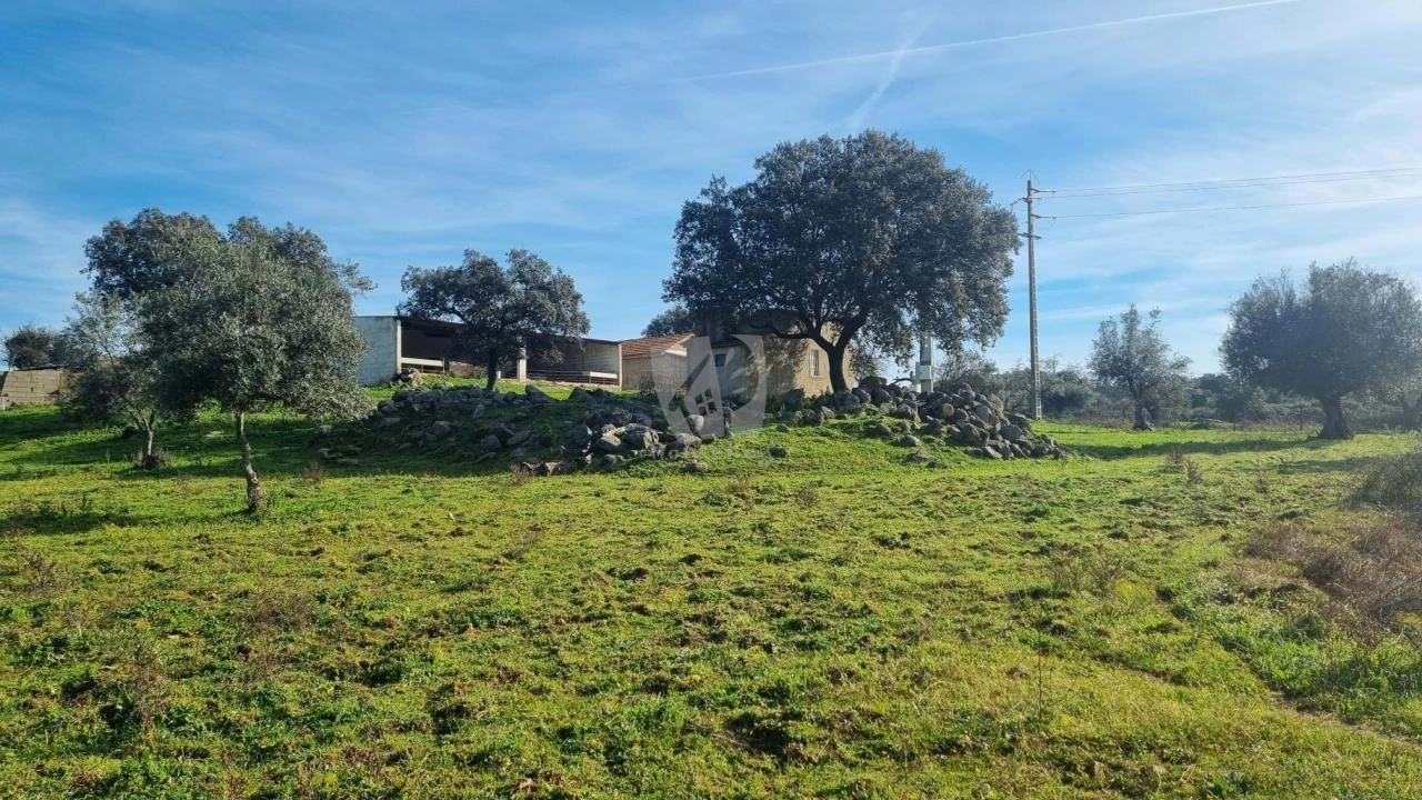 Quinta para Venda em Oledo Foto 36