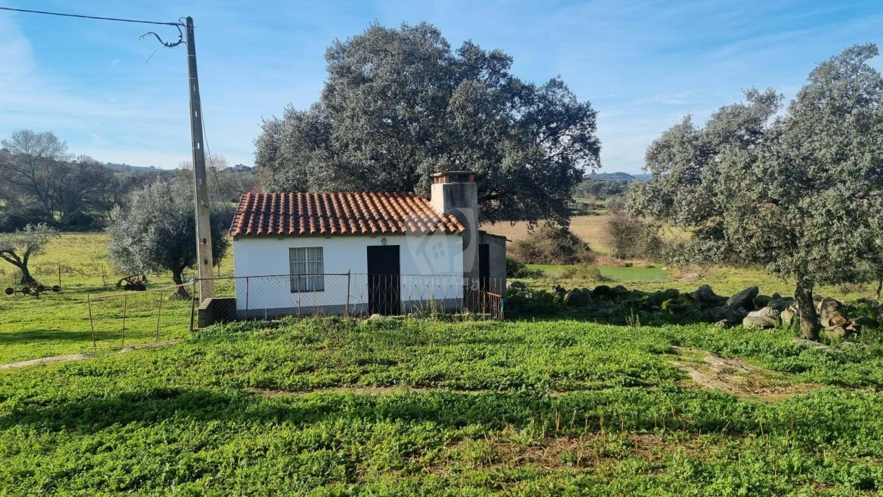 Quinta para Venda em Oledo Foto 4