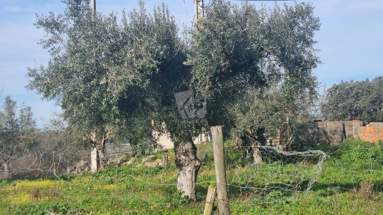 Quinta para Venda em Oledo Foto 26