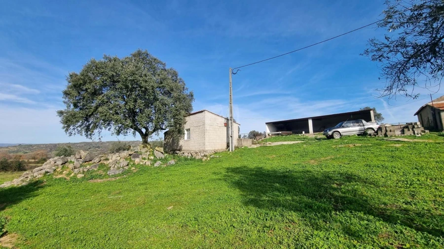 Quinta para Venda em Oledo Foto 38