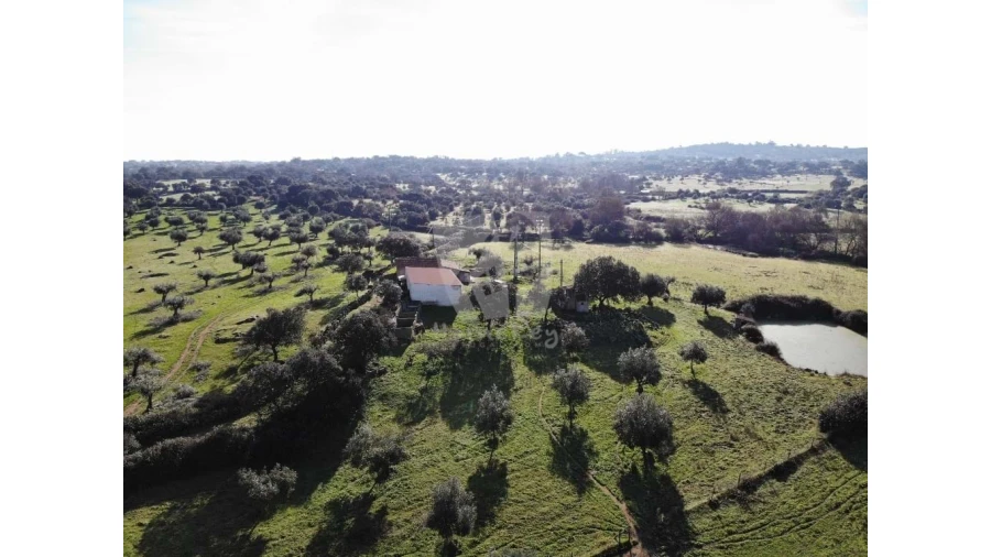 Quinta para Venda em Oledo Foto 47