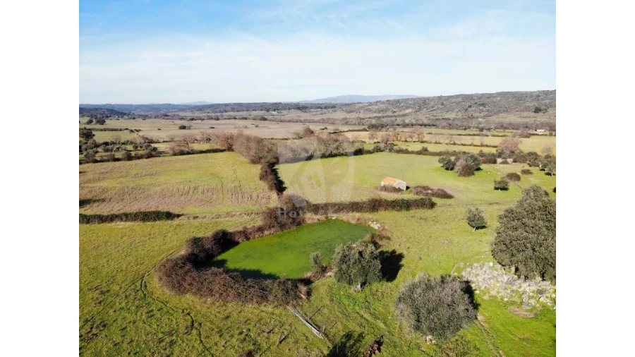 Quinta para Venda em Oledo Foto 45