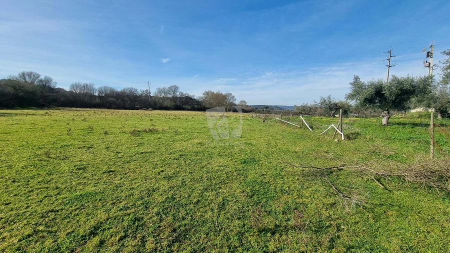 Quinta para Venda em Oledo Foto 25