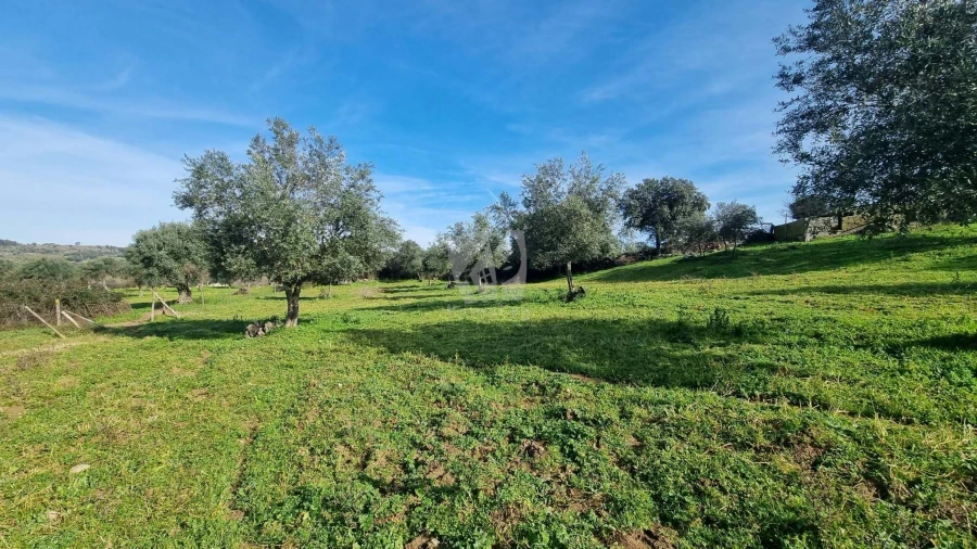 Quinta para Venda em Oledo Foto 33