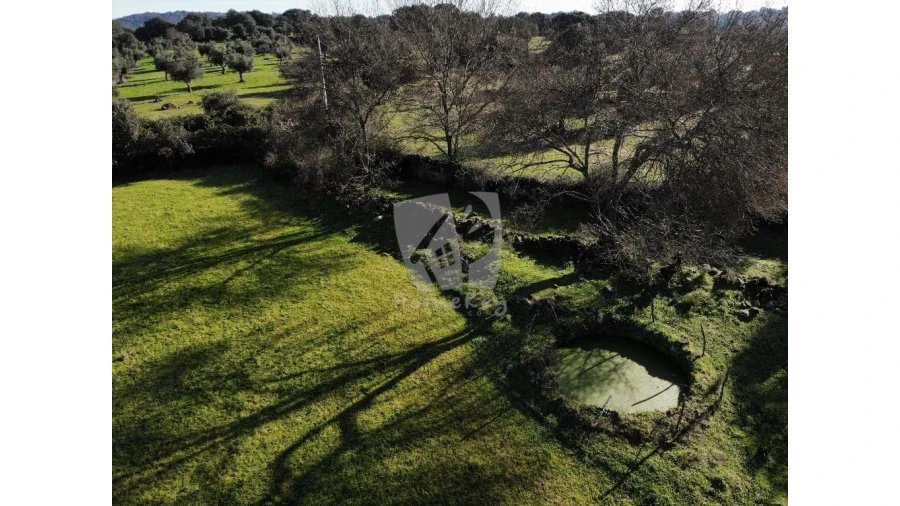 Quinta para Venda em Oledo Foto 42