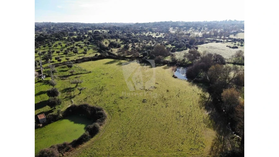 Quinta para Venda em Oledo Foto 41