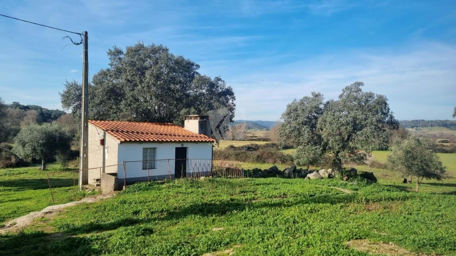 Quinta para Venda em Oledo Foto 3